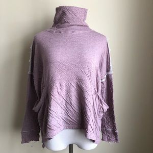 Free People we the free sweater